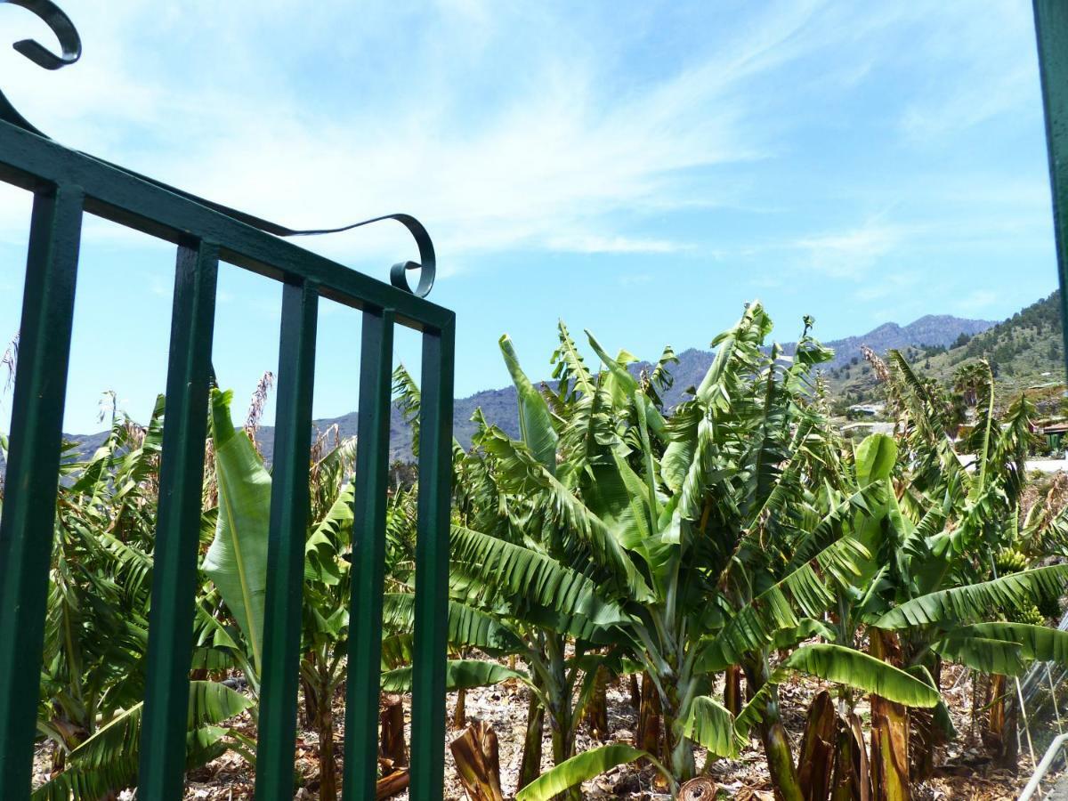 Villa Casa Rural El Pinito Los Llanos De Aridane Exterior foto