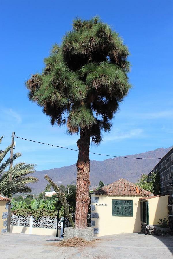 Villa Casa Rural El Pinito Los Llanos De Aridane Exterior foto